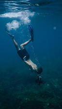Image by Osprey Creative