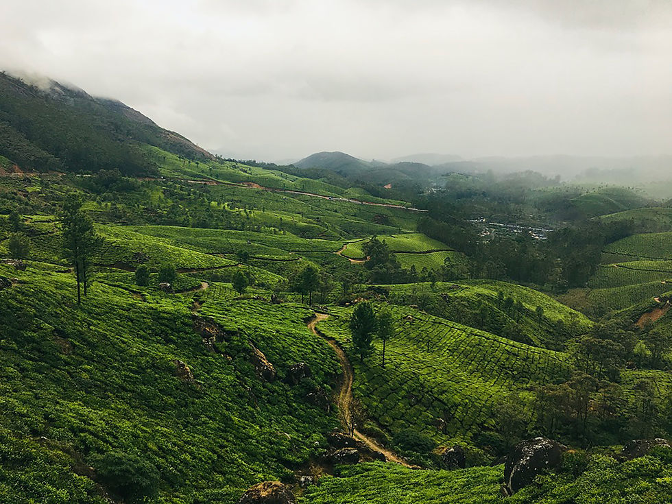 Image by jyothi kumar
