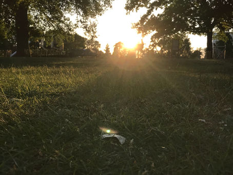 Golden sunset over a grassy park, with trees silhouetted and sun glare behind a bench and playground fence.