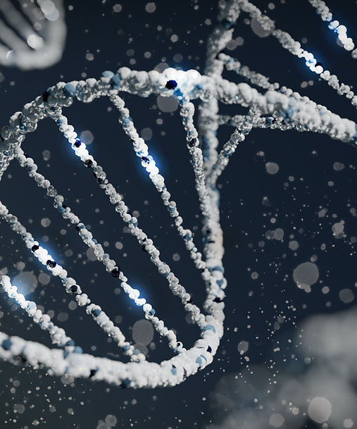 Image by Sangharsh Lohakare