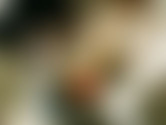 Active Aging: Fun Senior Activities