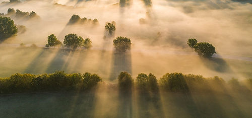 Image by Michael Held