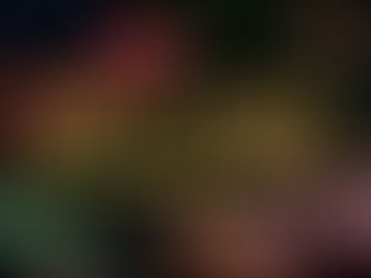 Make Different New Year's Resolutions for 2022! 