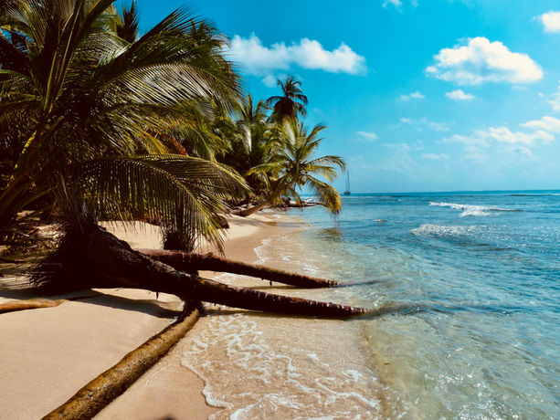 Palme che si inclinano sopra una spiaggia sabbiosa lungo la costa delle Galapagos