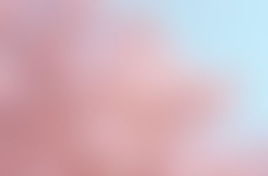 ベスト自修館谷戸校残席状況