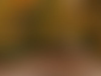 USDA Announces Historic Investment in Wildlife Conservation, Expands Partnership to Include Additional Programs