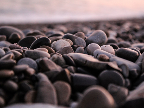 Image de Marie Vives