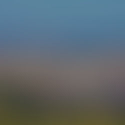 По повод една книжка