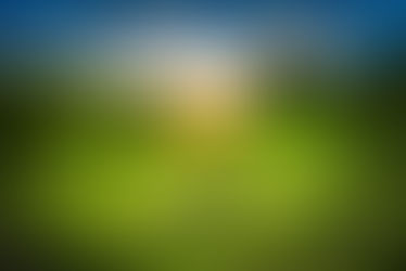 Coming Home to Nature: How Earth Medicine & Biophilic Design Nourish our Minds, Bodies, Spirits AND Spaces