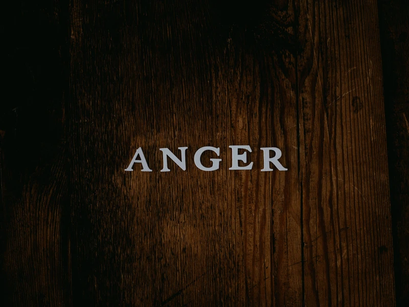 The word anger in all caps in white on a brown background