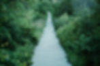 Image by Zach Lisko
