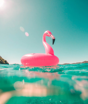 Image by Vicko Mozara