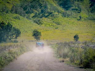 African Safari in India