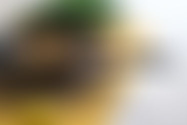 The Truth About Non Stick Pans: When to Replace Yours (It’s Sooner Than You Think!)