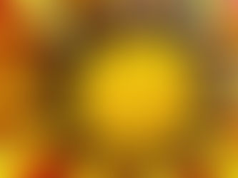 16 Piante per una Fioriera al Sole o Mezz'ombra: Idee dal Vivaio Green Project