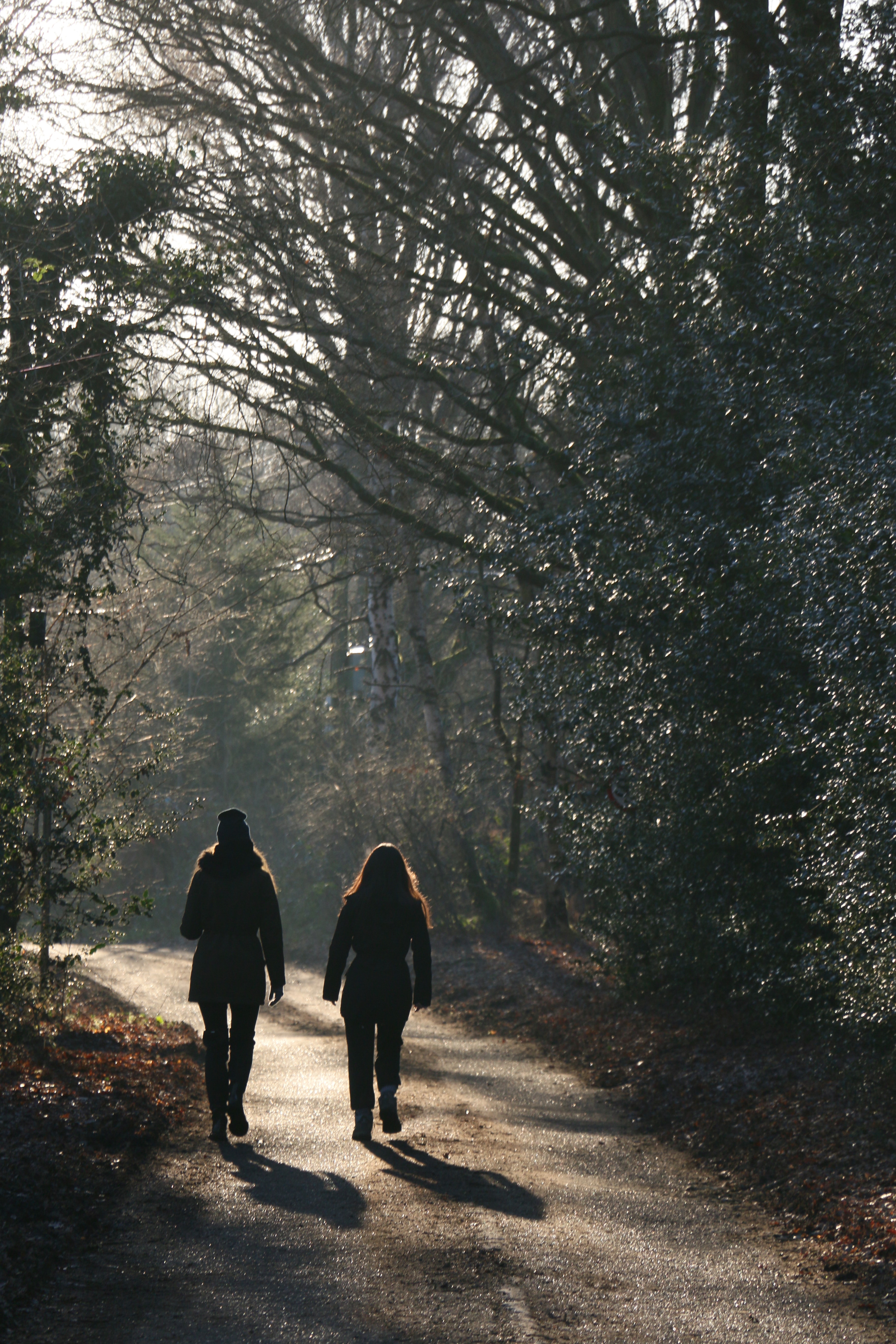 Abstract blurred silhouette of purposeful movement on a path