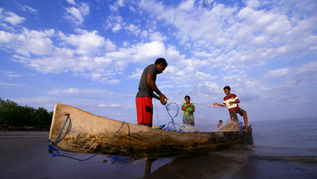 Timor-Leste Project Summary