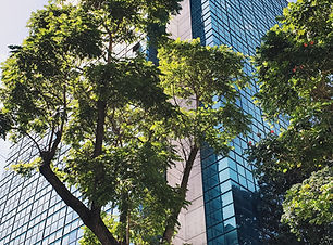 Image by Jorge Salvador