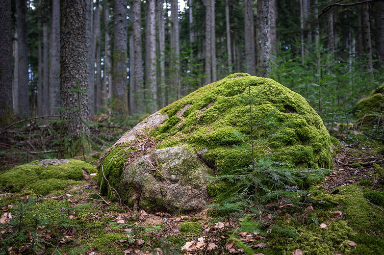 Image by Erwan B