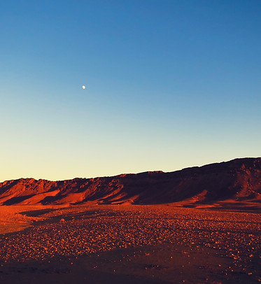 Image by Sara Deis