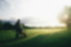 Image by Dominik Lange