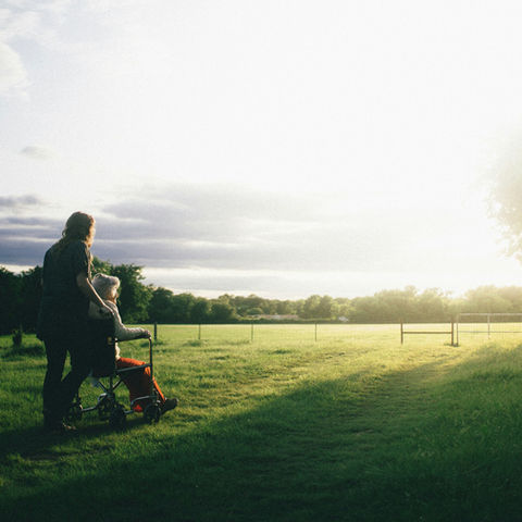 Person pushing another in a wheelchair across a sunlit field, surrounded by trees. Calm, serene atmosphere with long shadows.