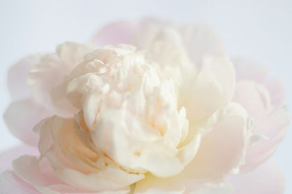 Image by Fiona Murray-deGraaff