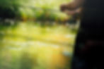 Creek Fishing
