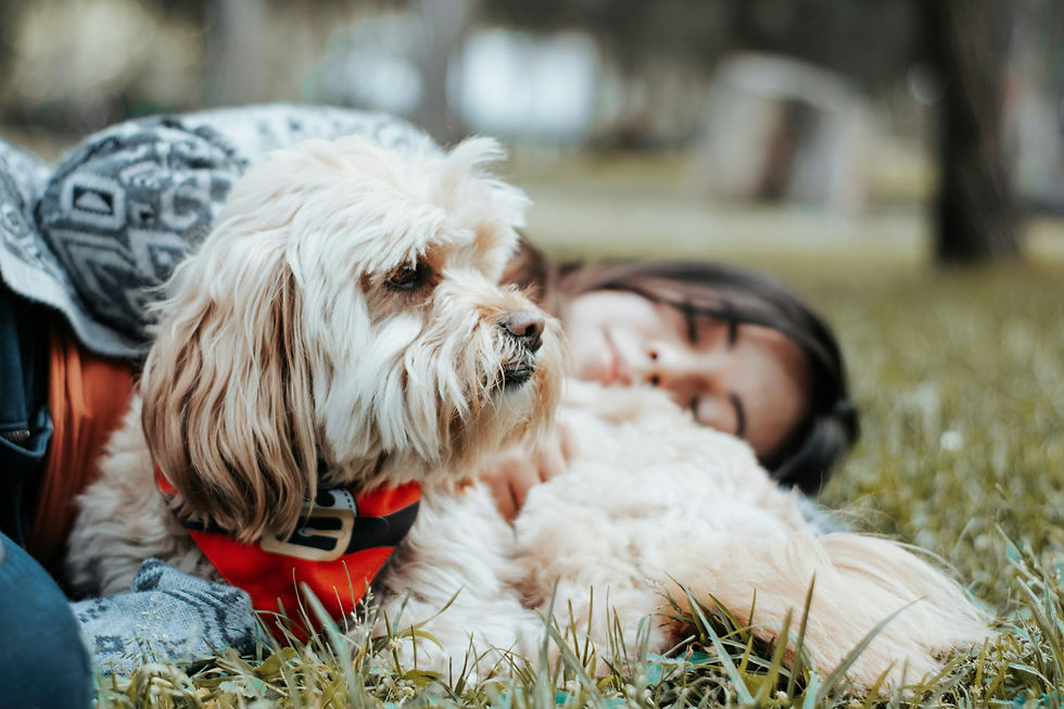 Image by Miguelangel Perez