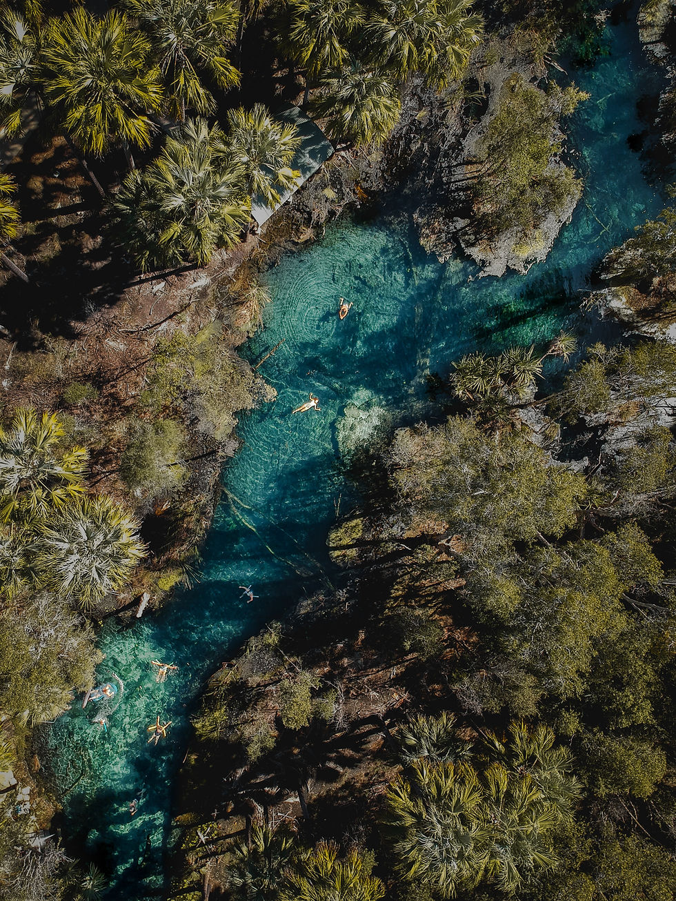 Aerial view of Mataranka Thermal Pool in Top End Australia