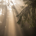 Image by Dominik Kempf