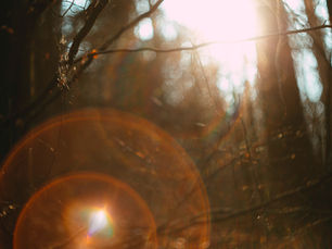 Transforming Light into Thought