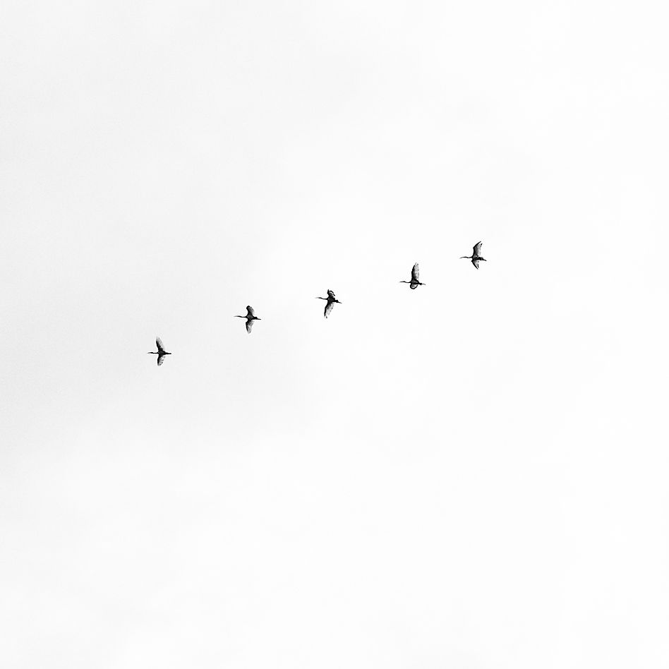Image by Megha Ajith