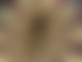 Legal Risks of Using AI in Legal Practice: Who Holds the Liability?