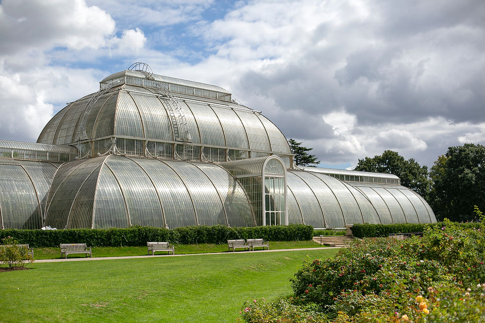 The Kew Gardens Girls