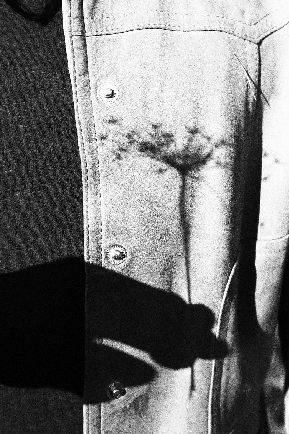 Shadow of a flower on a denim jacket, with a prominent metal button. Black and white image creates a contrast in textures.