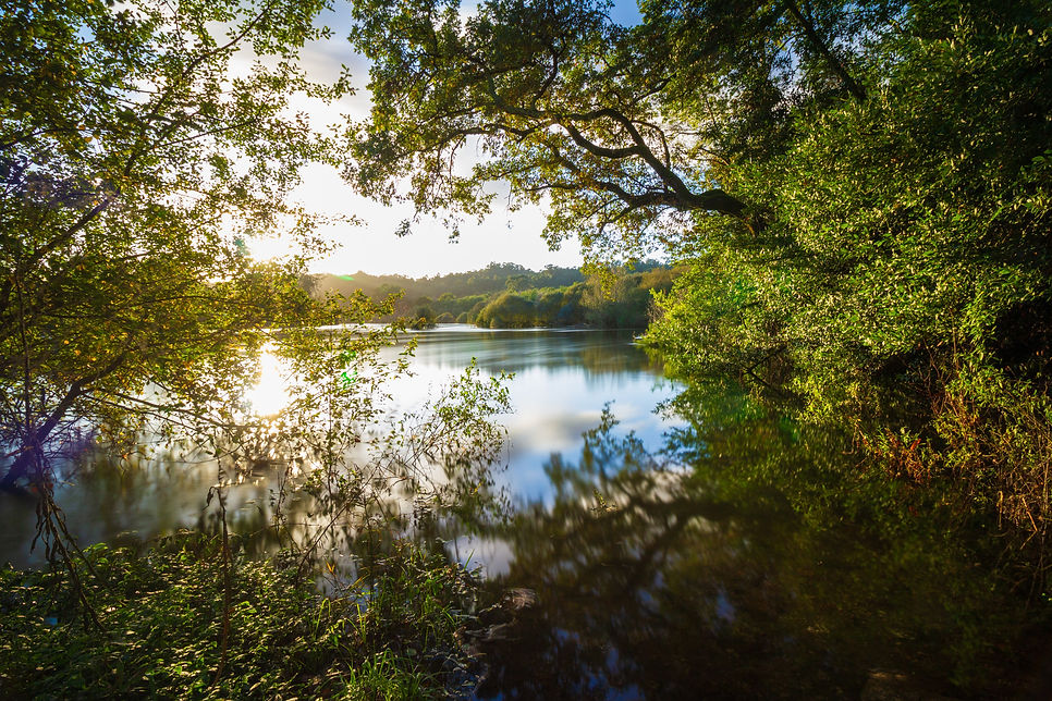 Río Miño