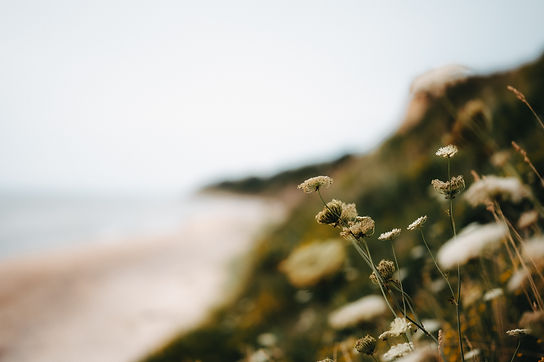 Image by Kristaps Ungurs