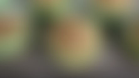 Healthy snack when hunger attacks