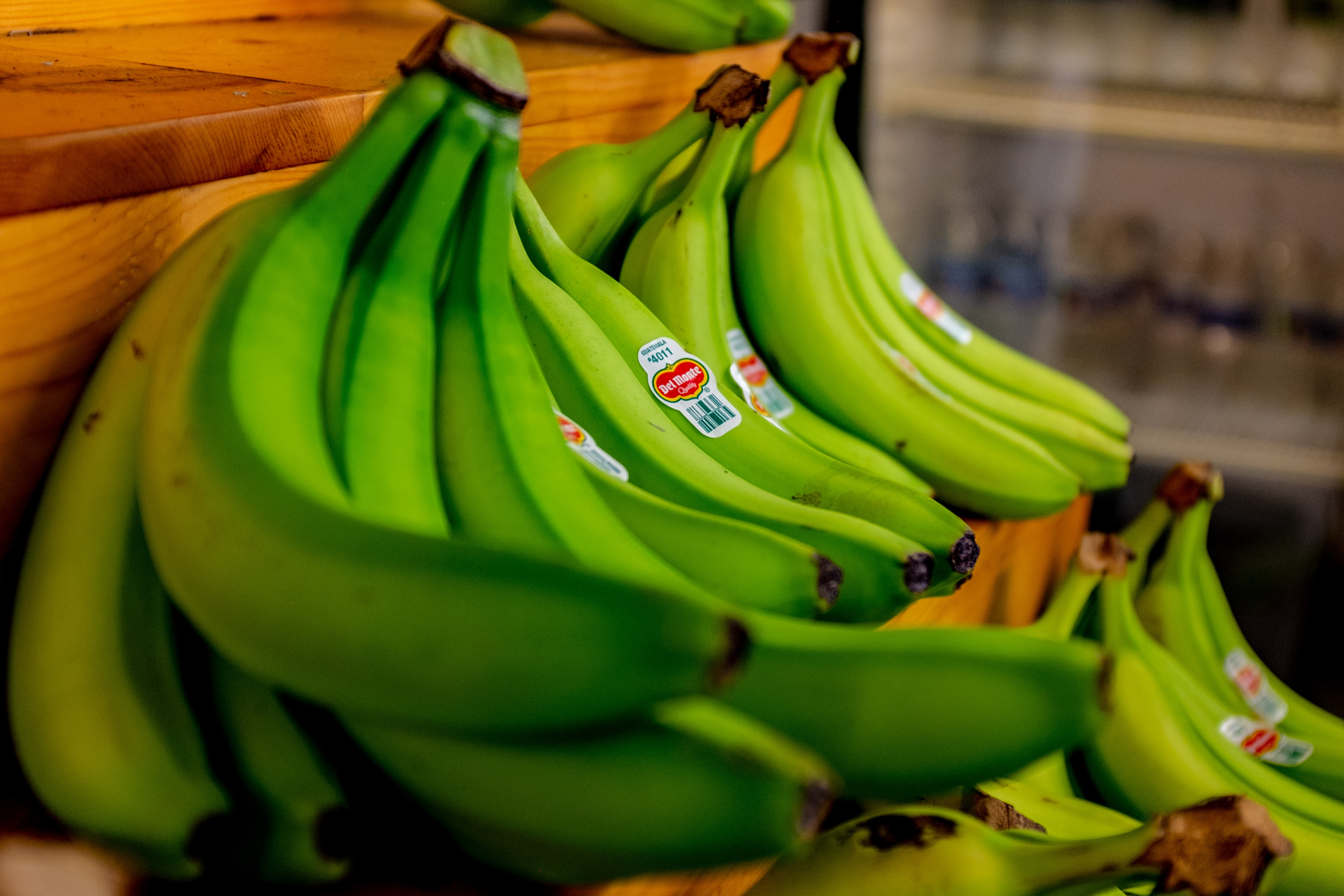 PLATANO VERDE