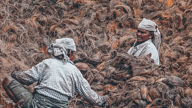 Image by Rajesh Ram