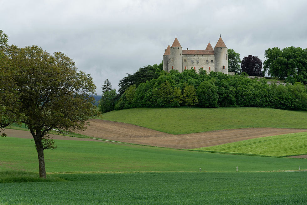 French Golf Course