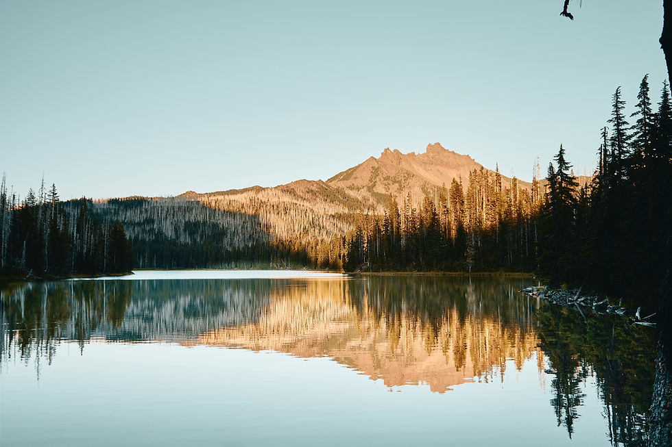 Mountain lake surrounded by pine forest