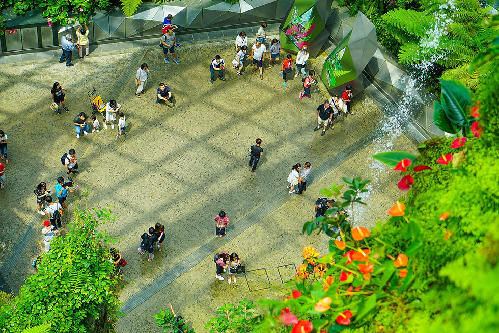 Image by Aiva Apsite