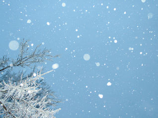 Women's Winter Social (Jan 24)