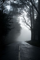 Image by Michael Mouritz