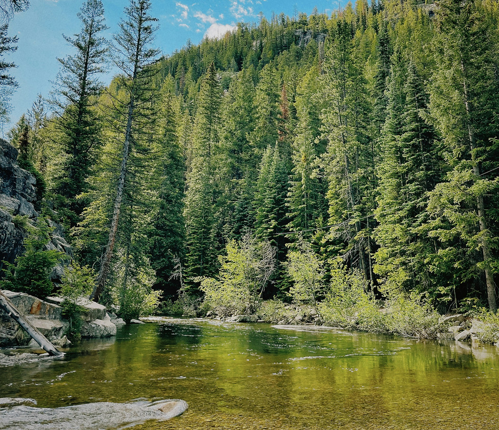Yuba River swimming holes by Lake Tahoe