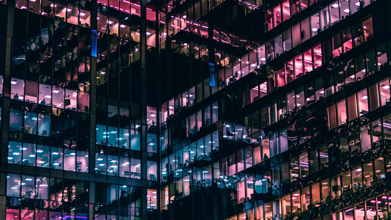 How Can Companies Look to Greener Futures?