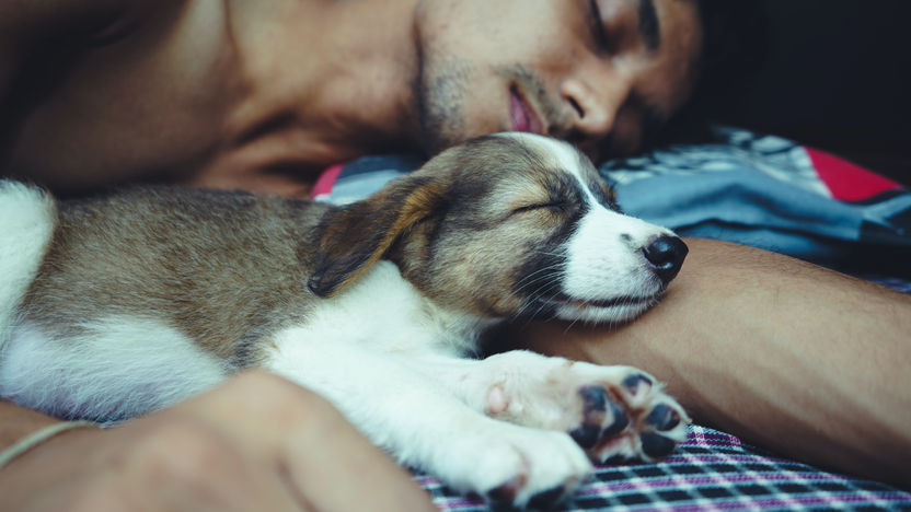 Life Performance Blog: The Power Of Sleep