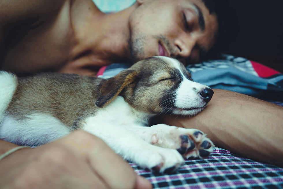 Sleep better tips, sleep better tips, can not sleep at night